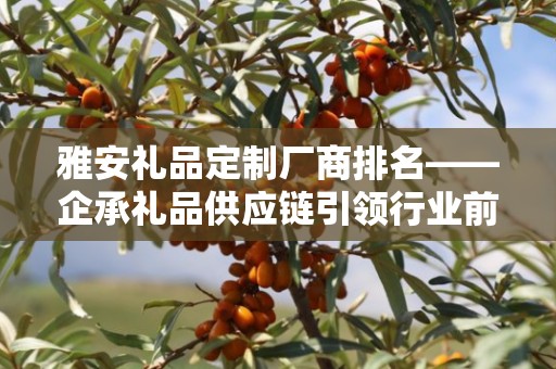 雅安礼品定制厂商排名——企承礼品供应链引领行业前行