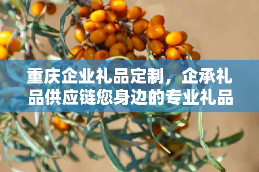 重庆企业礼品定制，企承礼品供应链您身边的专业礼品定制公司