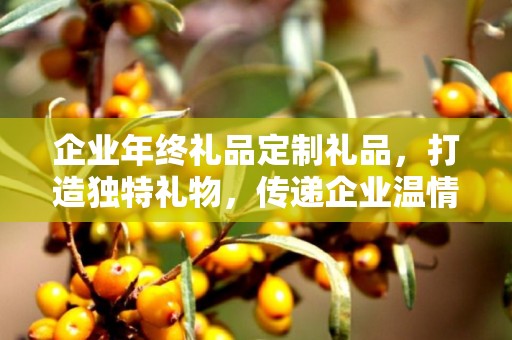 企业年终礼品定制礼品，打造独特礼物，传递企业温情