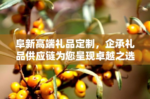 阜新高端礼品定制，企承礼品供应链为您呈现卓越之选