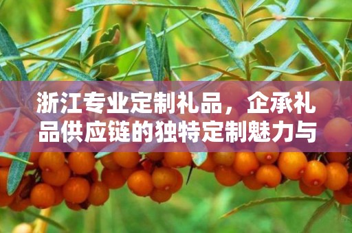 浙江专业定制礼品，企承礼品供应链的独特定制魅力与卓越服务体验
