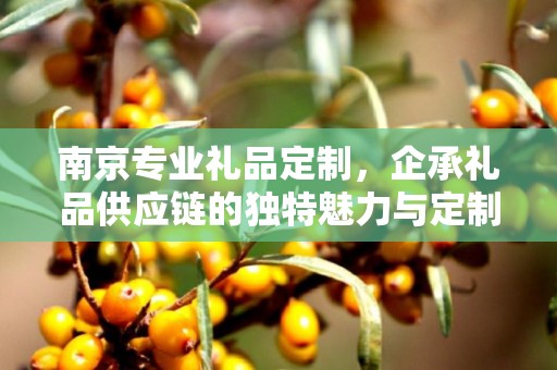 南京专业礼品定制，企承礼品供应链的独特魅力与定制之旅