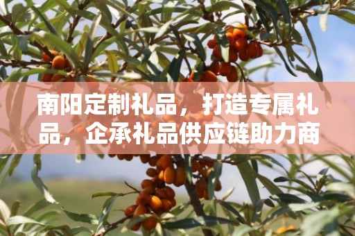 南阳定制礼品，打造专属礼品，企承礼品供应链助力商务之选