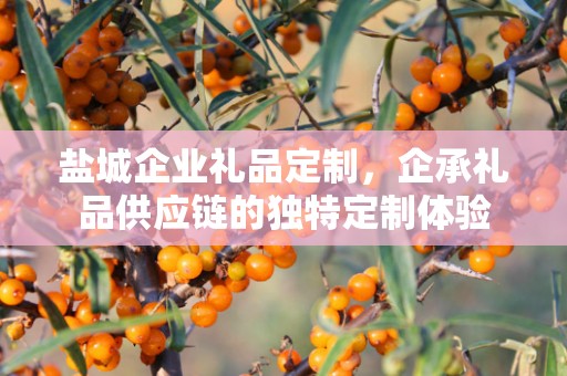 盐城企业礼品定制，企承礼品供应链的独特定制体验