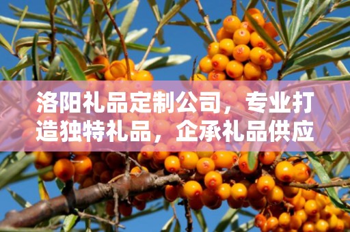 洛阳礼品定制公司，专业打造独特礼品，企承礼品供应链卓越服务