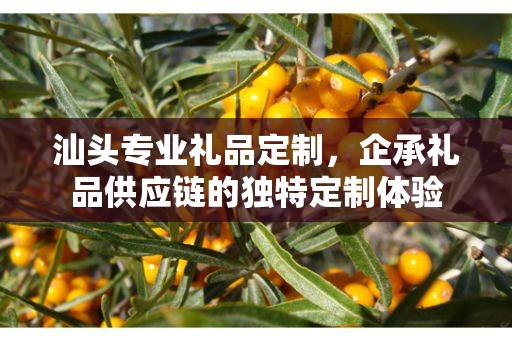 汕头专业礼品定制，企承礼品供应链的独特定制体验