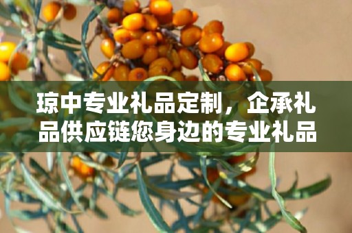 琼中专业礼品定制，企承礼品供应链您身边的专业礼品定制公司