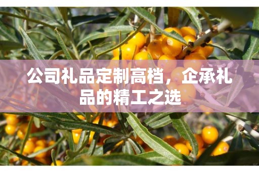 公司礼品定制高档，企承礼品的精工之选