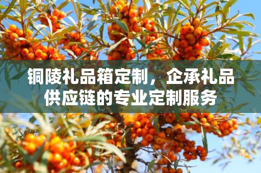 红桥创意礼品定制，企承礼品的独特定制之旅